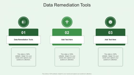 Data Remediation Tools In Powerpoint And Google Slides Cpb