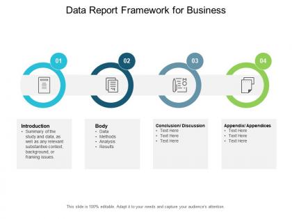 Data report framework for business