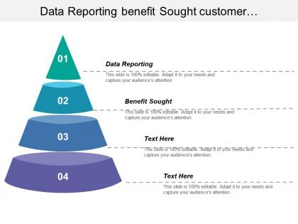 Data reporting benefit sought customer segmentation business opportunities