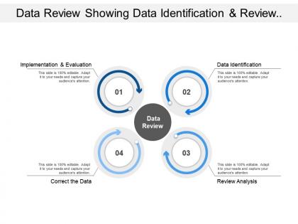 Data review showing data identification and review analysis