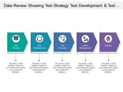 Data review showing test strategy test development and test execution