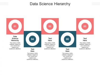 Data science hierarchy ppt powerpoint presentation inspiration professional cpb