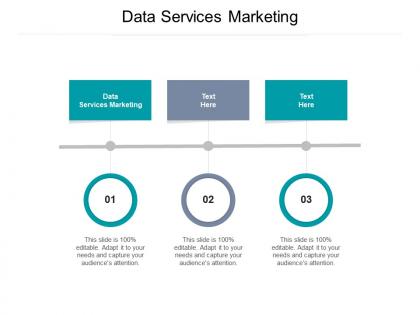 Data services marketing ppt powerpoint presentation file graphics pictures cpb