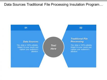 Data sources traditional file processing insulation program system describe