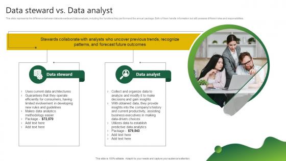 Data Steward Vs Data Analyst Stewardship By Project Model