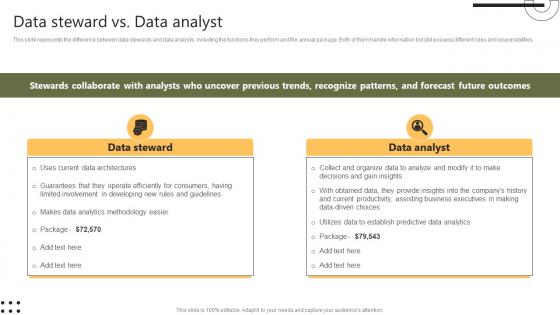 Data Steward Vs Data Analyst Stewardship By Systems Model