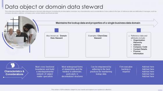 Data Stewardship IT Data Object Or Domain Data Steward Ppt Inspiration