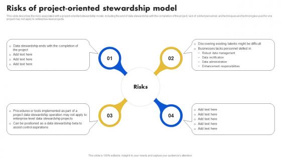 Data Stewardship Model Risks Of Project Oriented Stewardship Model
