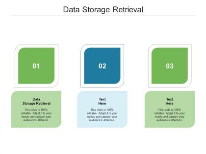 Data storage retrieval ppt powerpoint presentation layouts outline cpb