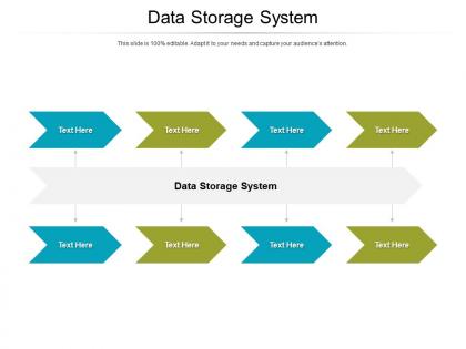 Data storage system ppt powerpoint presentation outline designs cpb
