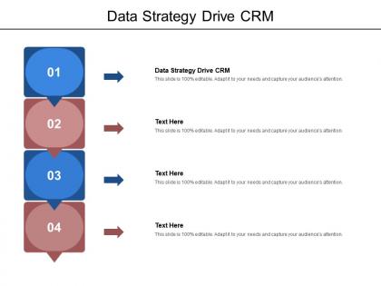 Data strategy drive crm ppt powerpoint presentation professional layout cpb