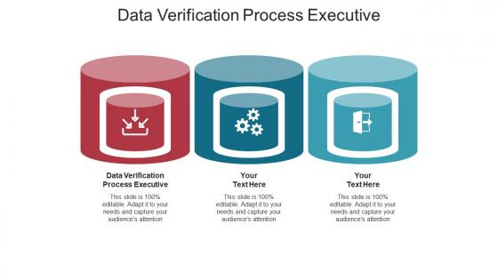 Data verification process executive ppt powerpoint presentation infographic template cpb