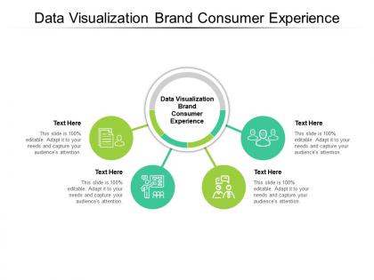 Data visualization brand consumer experience ppt powerpoint presentation layouts tips cpb