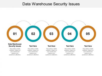 Data warehouse security issues ppt powerpoint presentation ideas background images cpb