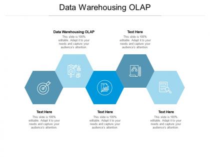 Data warehousing olap ppt powerpoint presentation model design ideas cpb