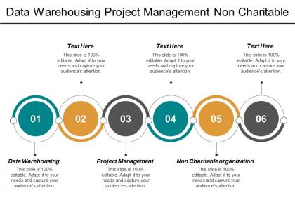 Data warehousing project management non charitable organization manufacturing collaboration cpb