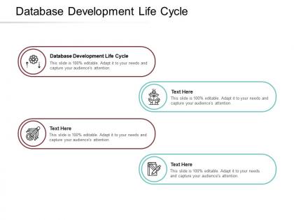 Database development life cycle ppt powerpoint presentation infographics clipart cpb