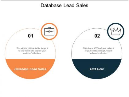 Database lead sales ppt powerpoint presentation show grid cpb