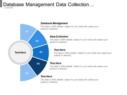 Database management data collection management back office search engine