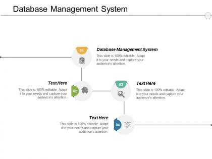 Database management system ppt powerpoint presentation ideas icons cpb