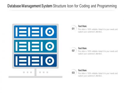 Database management system structure icon for coding and programming