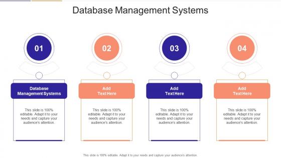 Database Management Systems In Powerpoint And Google Slides Cpb