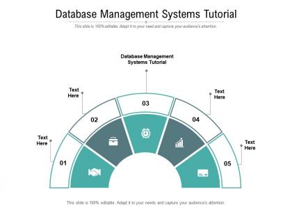 Database management systems tutorial ppt powerpoint presentation infographics background designs cpb