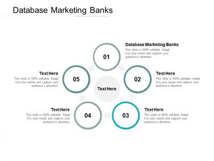 Database marketing banks ppt powerpoint presentation outline picture cpb