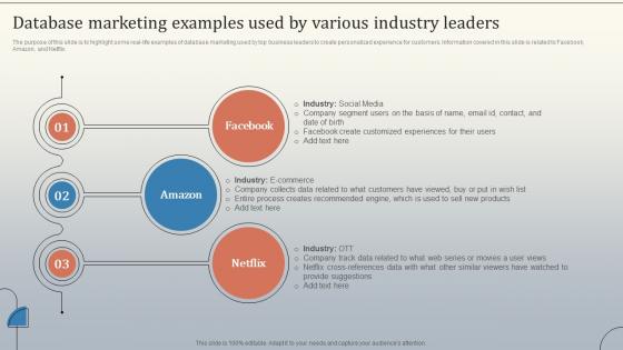 Database Marketing Examples Used By Various Database Marketing Strategies MKT SS V