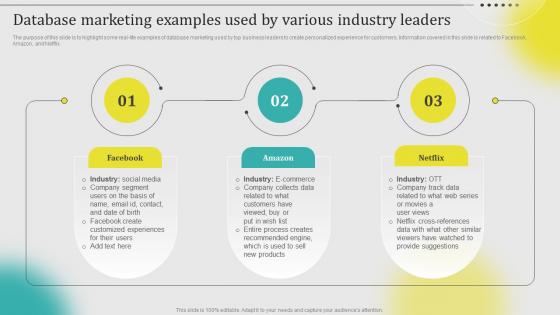 Database Marketing Examples Used By Various Industry Leaders Leveraging Customer Data MKT SS V