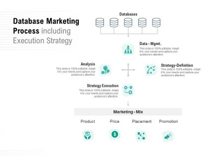 Database marketing process including execution strategy