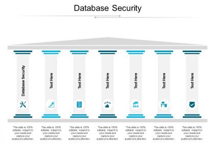 Database security ppt powerpoint presentation infographics portrait cpb