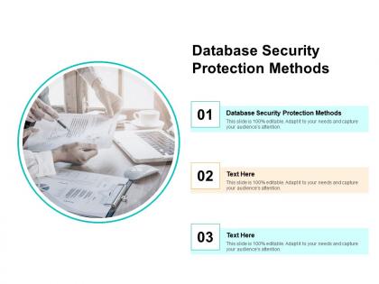 Database security protection methods ppt powerpoint presentation ideas templates cpb