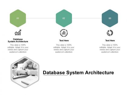 Database system architecture ppt powerpoint presentation model templates cpb