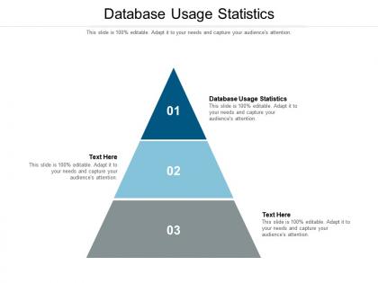 Database usage statistics ppt powerpoint presentation icon mockup cpb