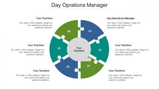 Day oprations manager ppt powerpoint presentation icon visual aids cpb