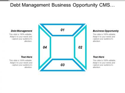 Debt management business opportunity cms content management collaborative working cpb