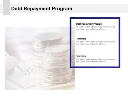 Debt repayment program ppt powerpoint presentation layouts grid cpb