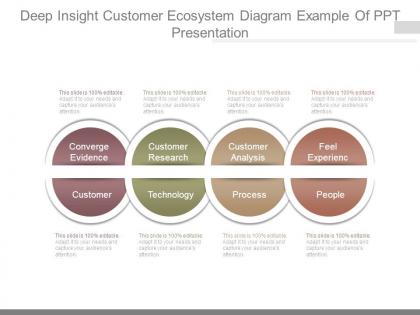 Deep insight customer ecosystem diagram example of ppt presentation