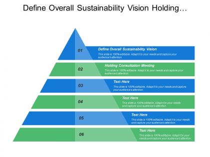 Define overall sustainability vision holding consultation meetings