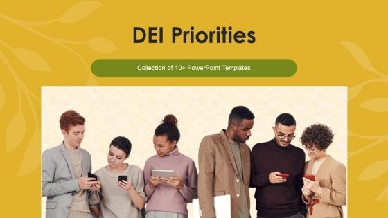 DEI Priorities Powerpoint Ppt Template Bundles