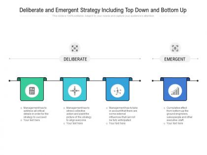 Deliberate and emergent strategy including top down and bottom up