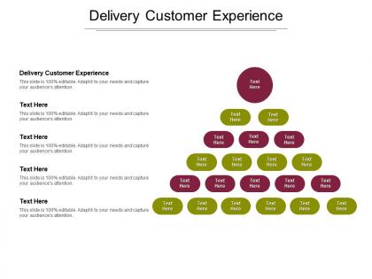 Delivery customer experience ppt powerpoint presentation infographic template cpb
