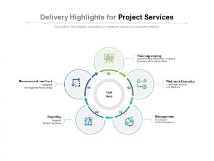 Delivery highlights for project services