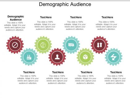 Demographic audience ppt powerpoint presentation show layout ideas cpb