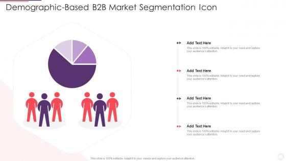 Demographic Based B2b Market Segmentation Icon