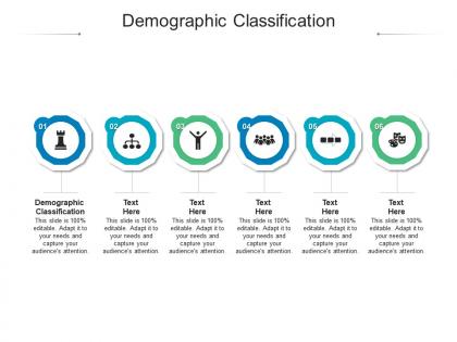 Demographic classification ppt powerpoint presentation infographic template inspiration cpb