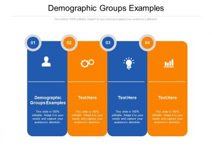 Demographic groups examples ppt powerpoint presentation portfolio tips cpb