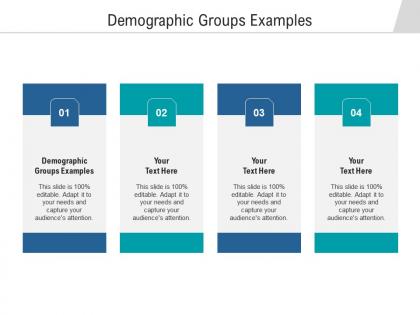 Demographic groups examples ppt powerpoint presentation styles graphics tutorials cpb