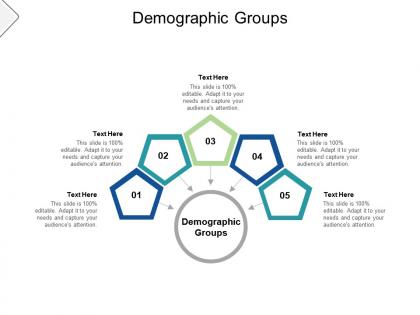 Demographic groups ppt powerpoint presentation gallery display cpb